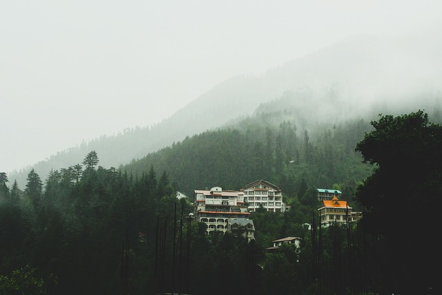 Manali